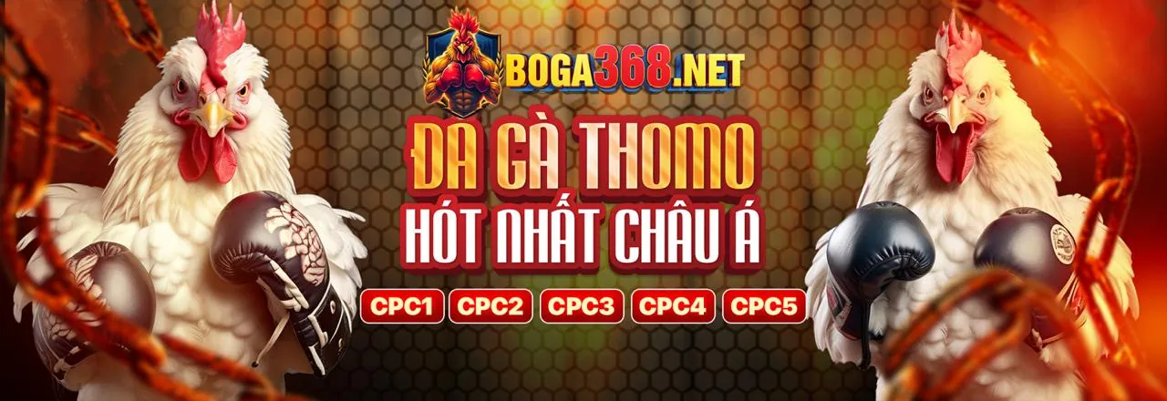 Đá gà trực tuyến 66clup